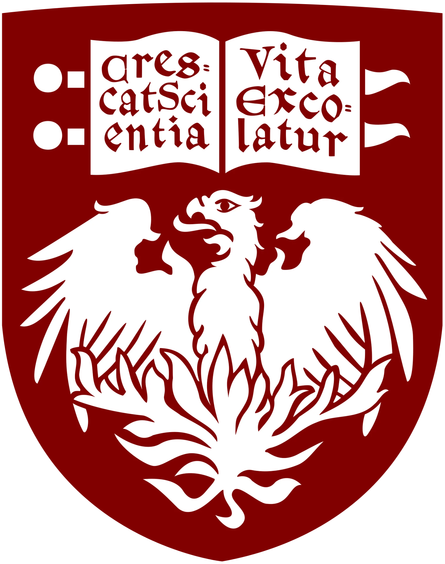 UChicago logo